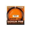 Cordage Signum Pro Hypérion 12m 2 Cordage Signum Pro Hypérion 12m -HEAD boutique cordage signum pro hyperion 12m